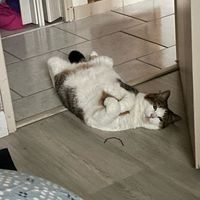 profil du vendeur