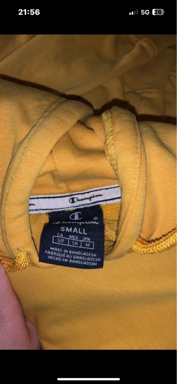 pull - photo numéro 4