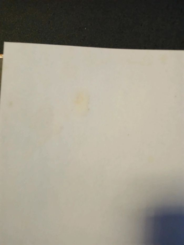 Bd zoo 1,EO - photo numéro 4