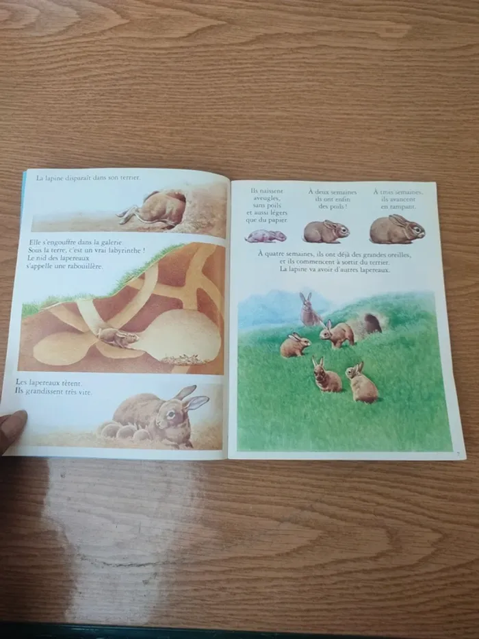 Livre youpi l'attaque du château Fort - photo numéro 9