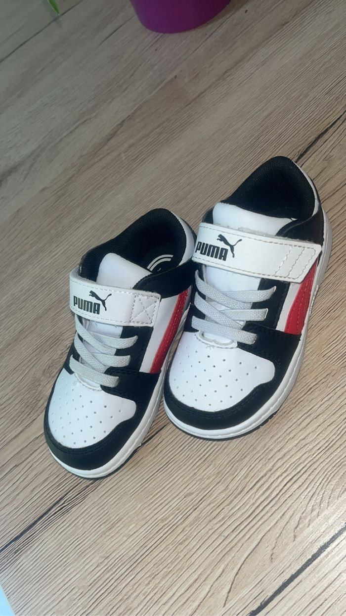 Basket puma