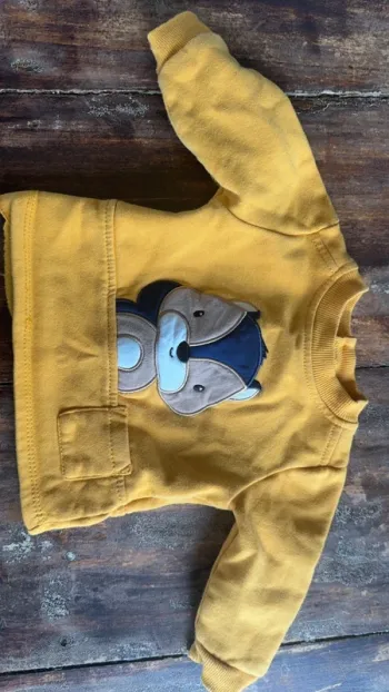 Pull avec renard