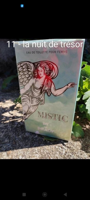 Parfum Générique mistic 100 ml