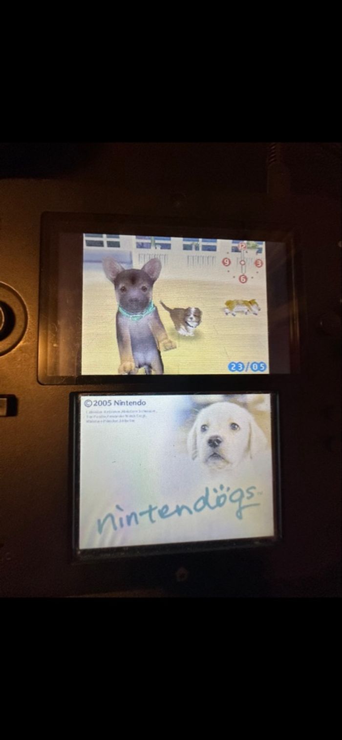 Nintendogs labrador DS - photo numéro 3