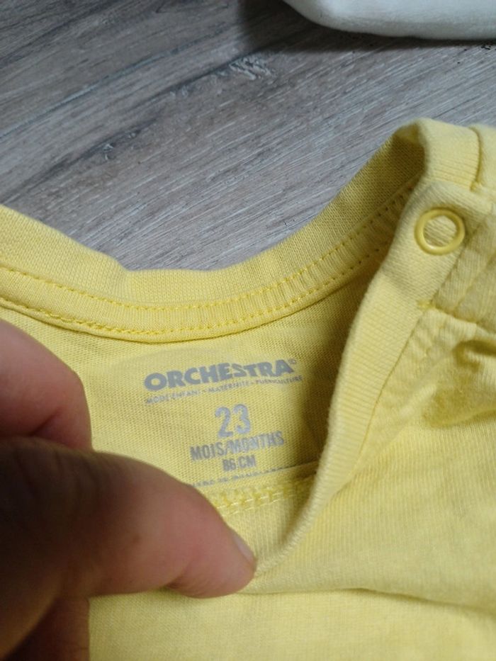 Lot t-shirts Orchestra 23 mois - photo numéro 3