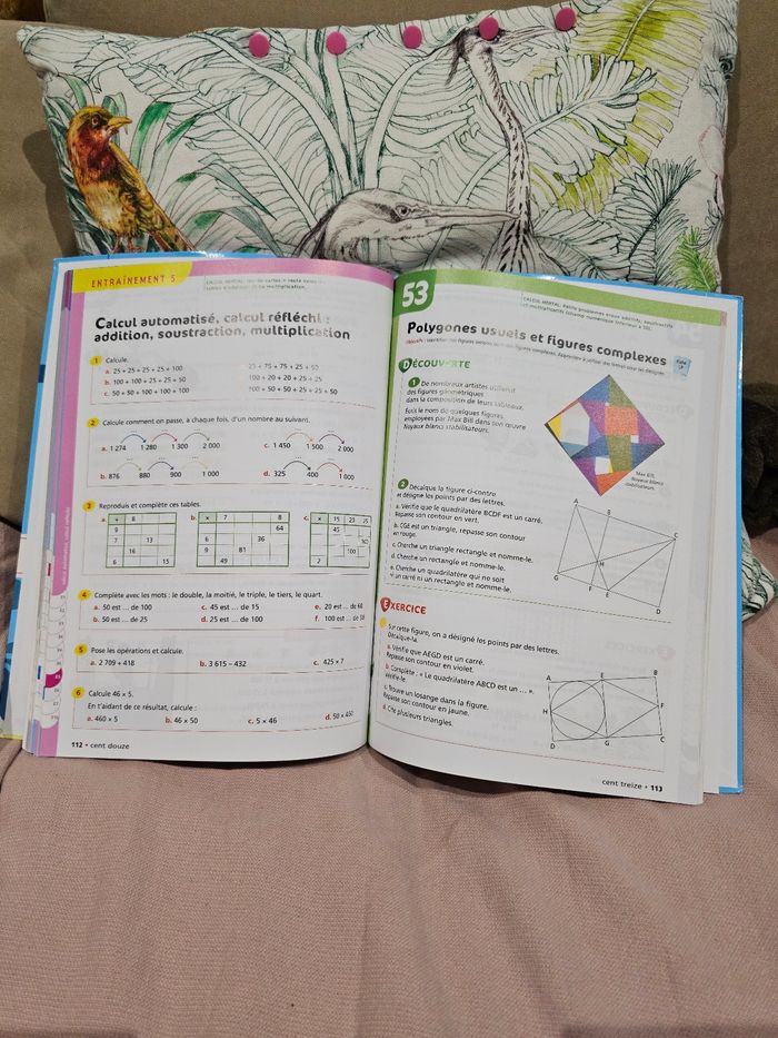 Manuel Euro Maths CE2 – Hatier - photo numéro 3