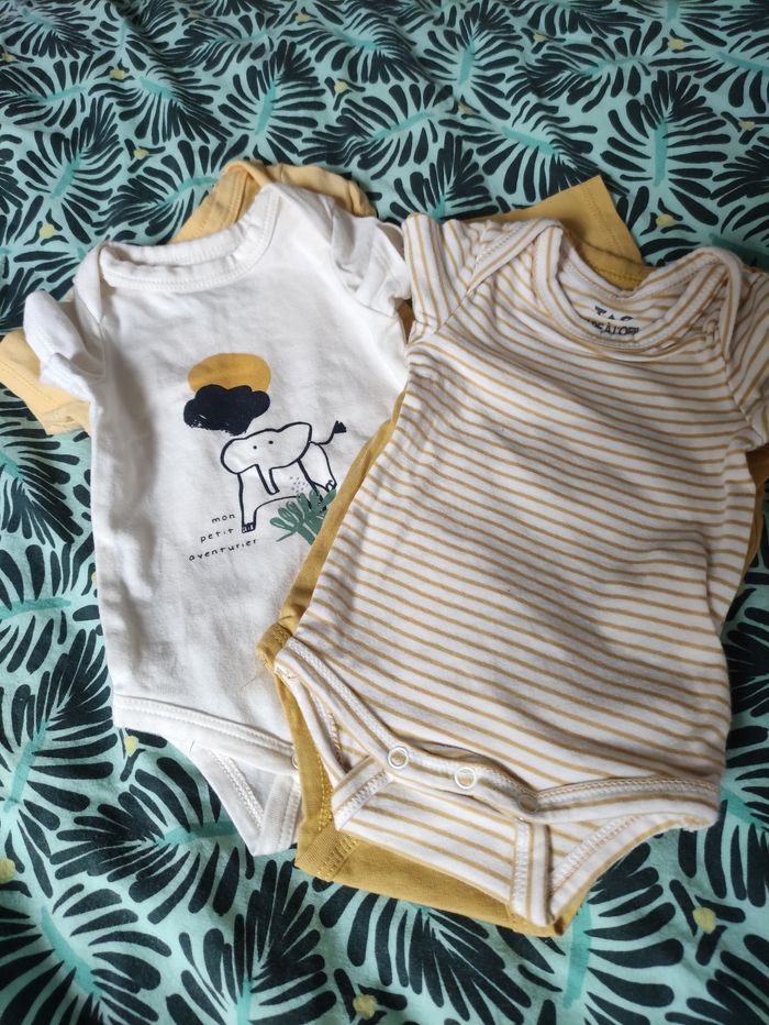 Lot naissance au 2mois