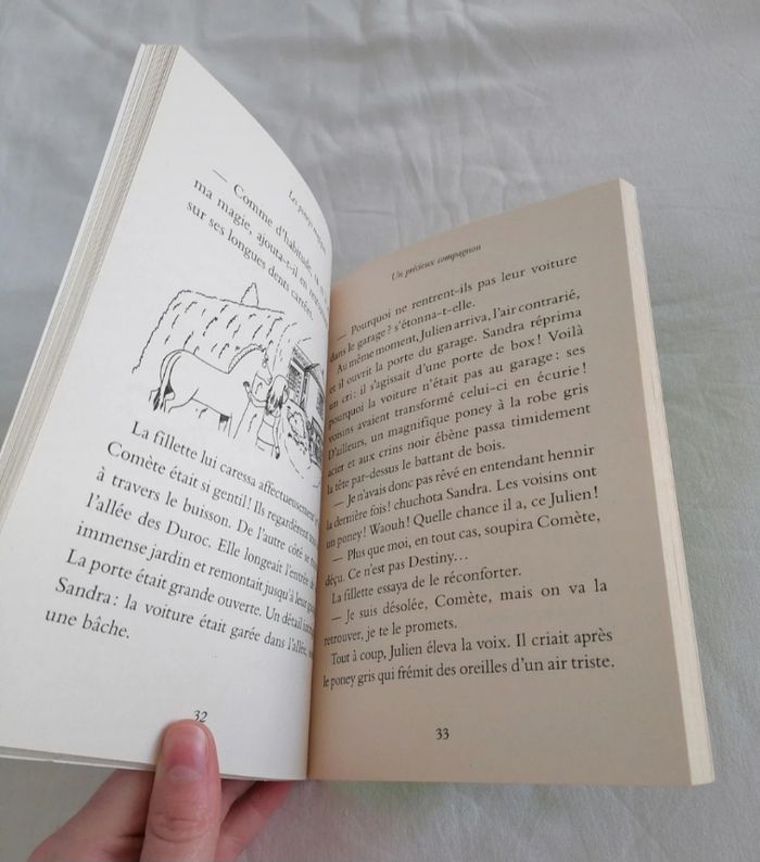 Livre les poneys magiques,  un précieux compagnon - photo numéro 4