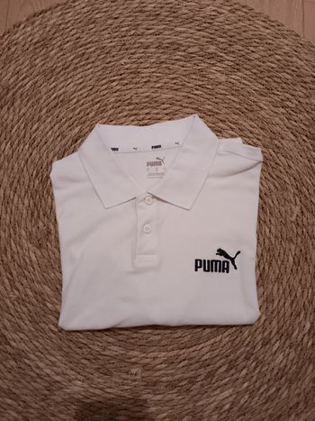 Polo Puma