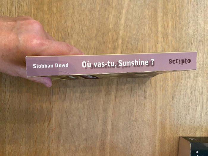 Où vas-tu, Sunshine ? Siobhan Dowd Éditions Gallimard - photo numéro 2