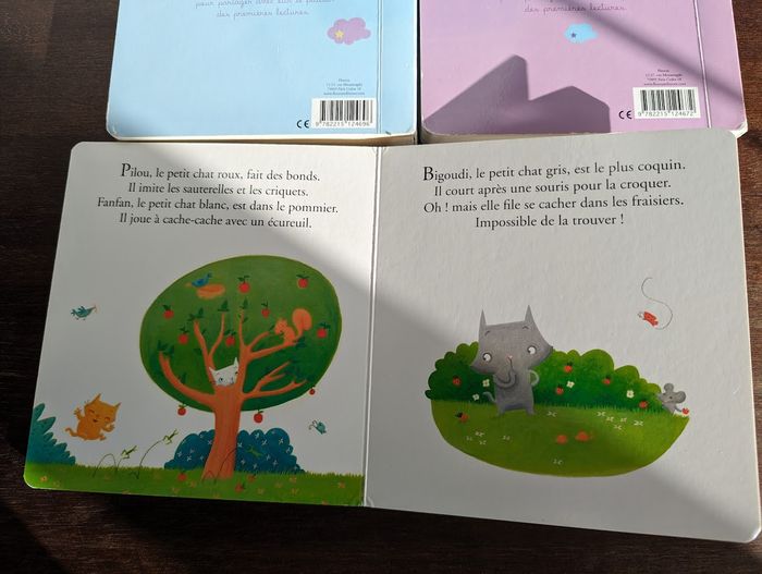 Coffret de 3 livres Fleurus - photo numéro 9