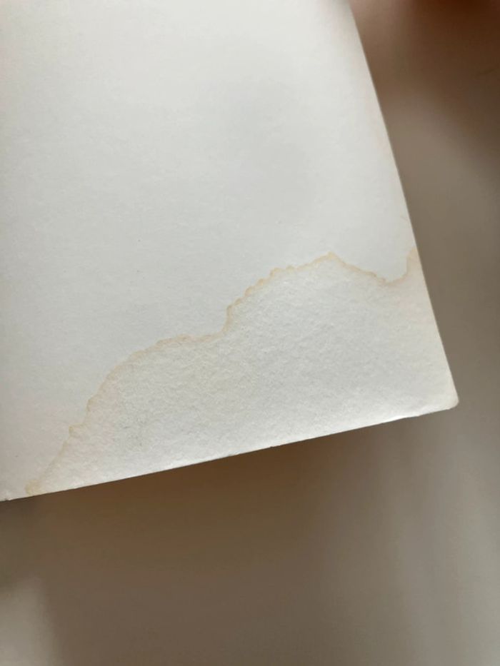 Théo et le mystère de la météorite - photo numéro 3