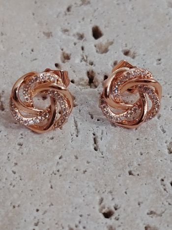 Jolies boucles d'oreilles 