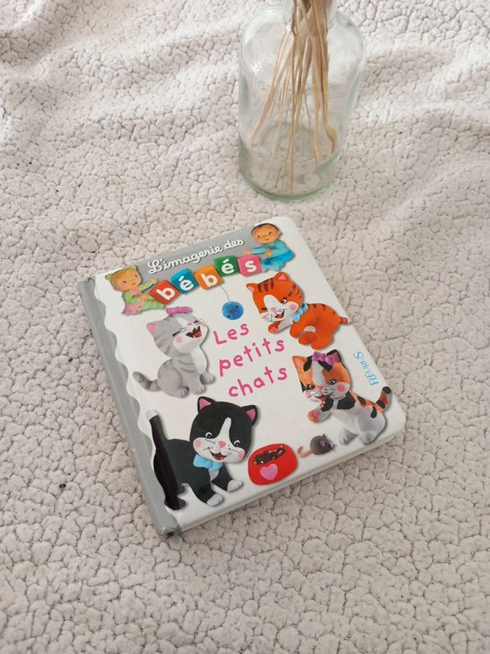 L'imagerie des bébés les petits chats 🐱