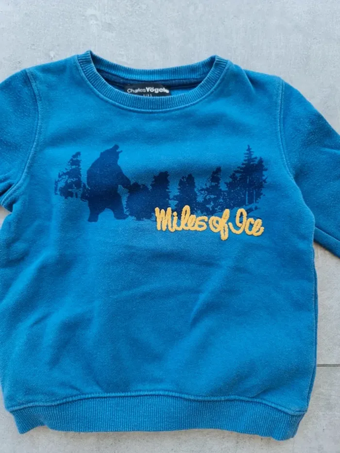 Pull molletonné 2/3 ans - photo numéro 2