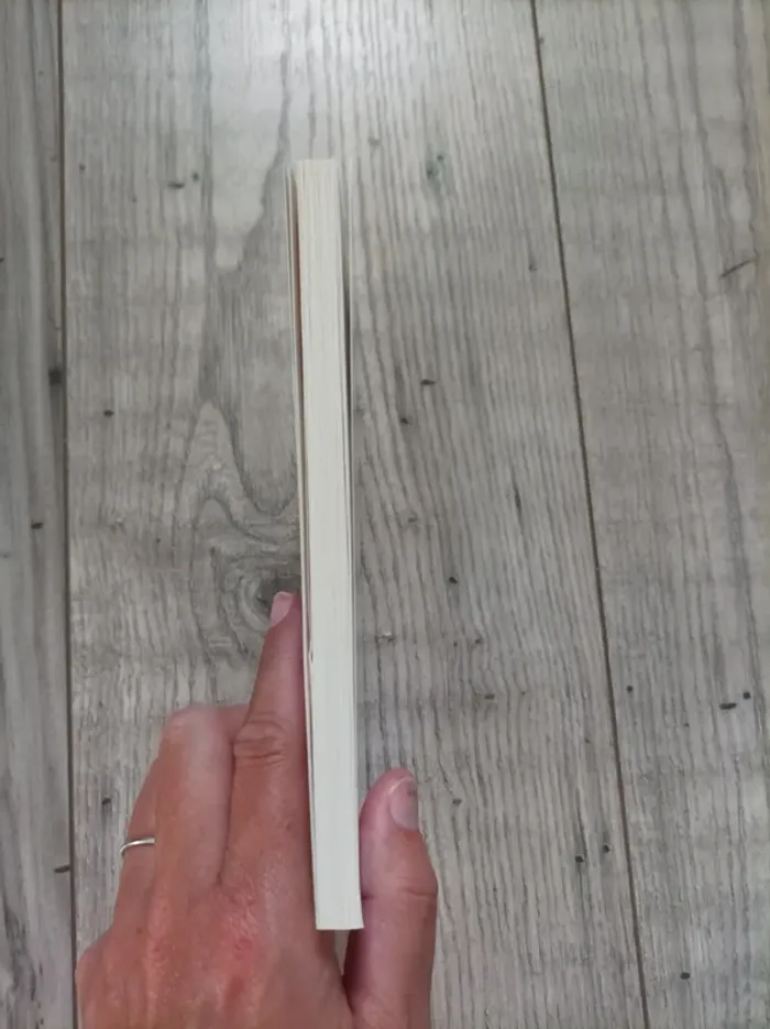 Livre pour enfants : " les terribles aventures de Mélina et Rico" - photo numéro 4