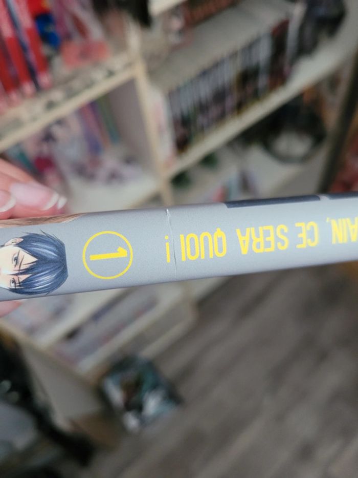 Manga yaoi et demain ce sera quoi tomes 1 et 2 - photo numéro 7