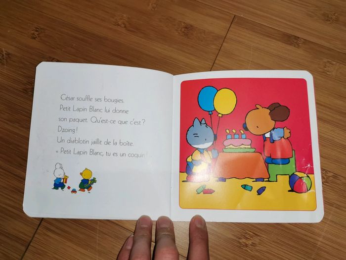 Petit Lapin Blanc est un coquin - photo numéro 14