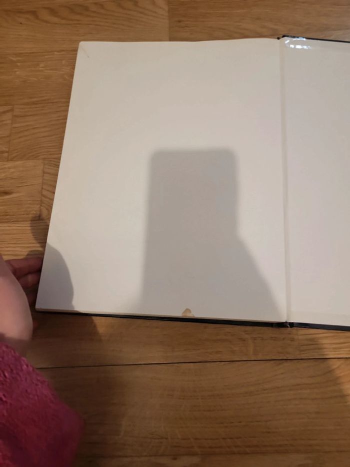 Zao wou ki claude roy - photo numéro 4