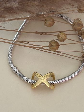 Charm Infini  « Family Forever and Always »