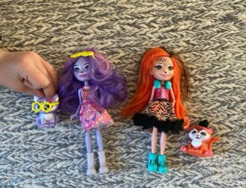 Poupées hatchimals