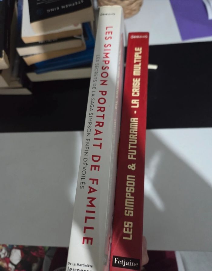Lot de 2 livre simpson - photo numéro 3
