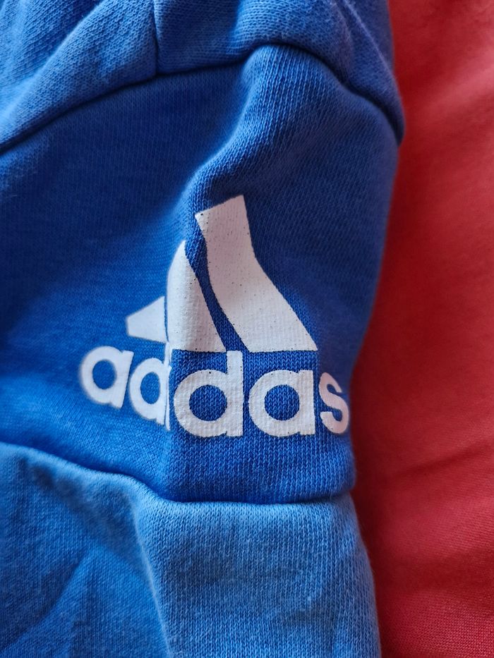 Superbe sweet coupe classique - photo numéro 2