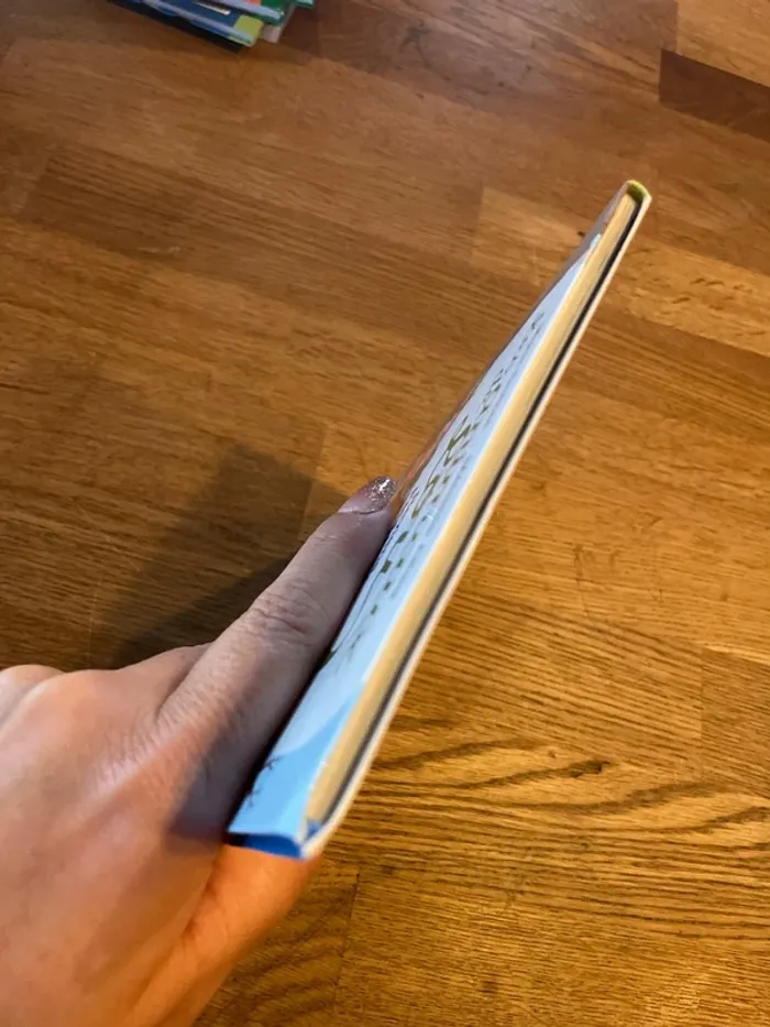 Livre premières lectures Les animaux de Lou Reviens Petit Lapin ! - photo numéro 5