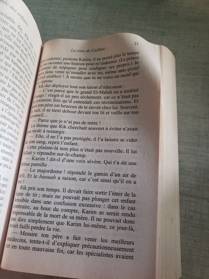 Livre la croisade des enfants - photo numéro 3