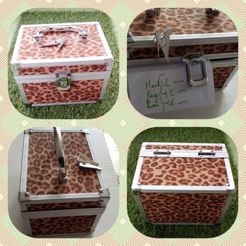 Coffre a bijoux léopard avec clés