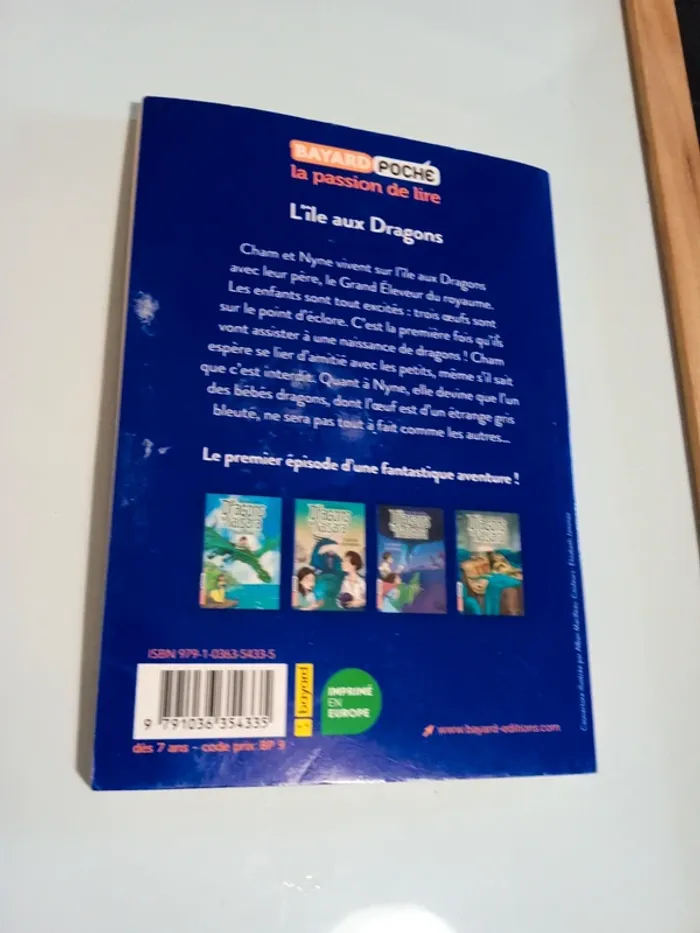 Les dragons de Nalsara l ile aux dragons tome 1 - photo numéro 2