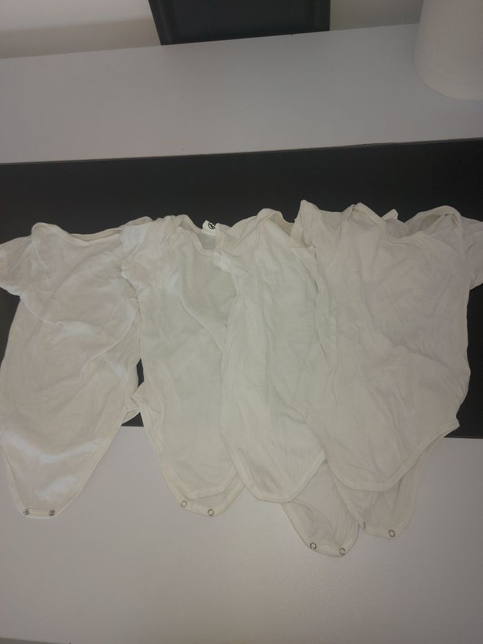 Bodies