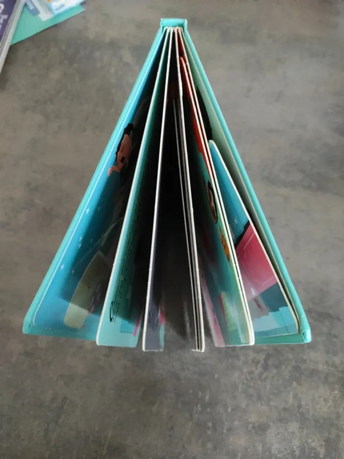 Livres les vacances - photo numéro 4