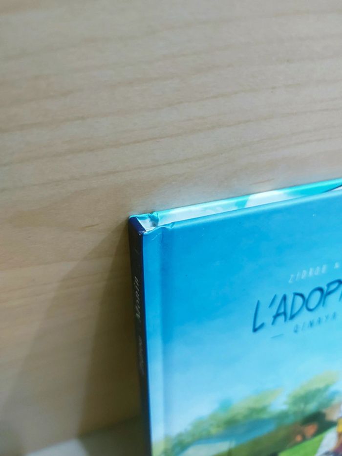 📚 Livre : L'adoption Qinaya - photo numéro 6