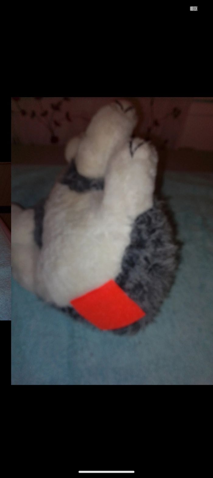 Peluche 40 cm - photo numéro 5