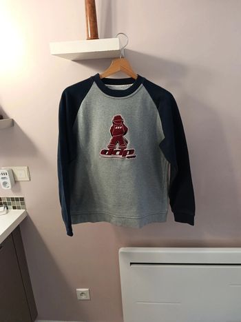 Magnifique Sweat DDP 14 ans