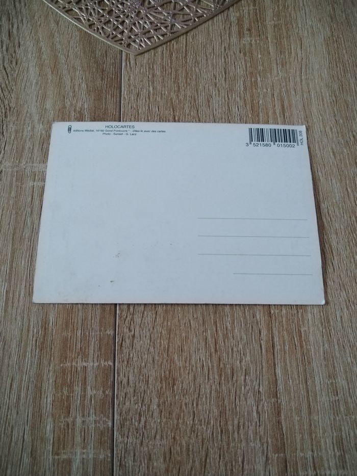 Carte postale chien bernois - photo numéro 2