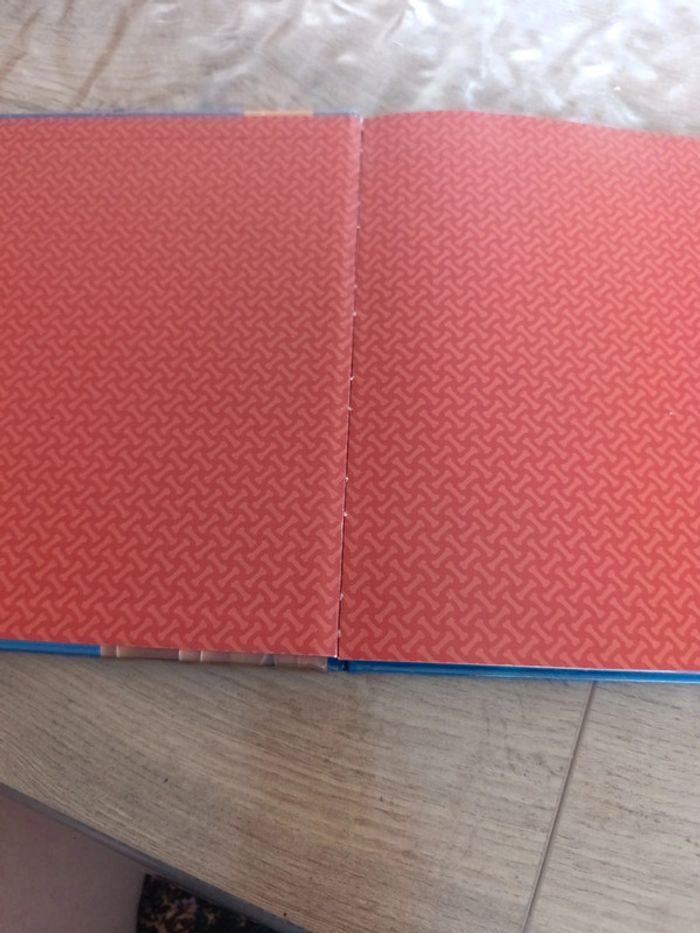 Livre pat patrouille - photo numéro 2