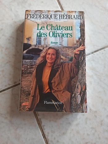 Le château des Oliviers