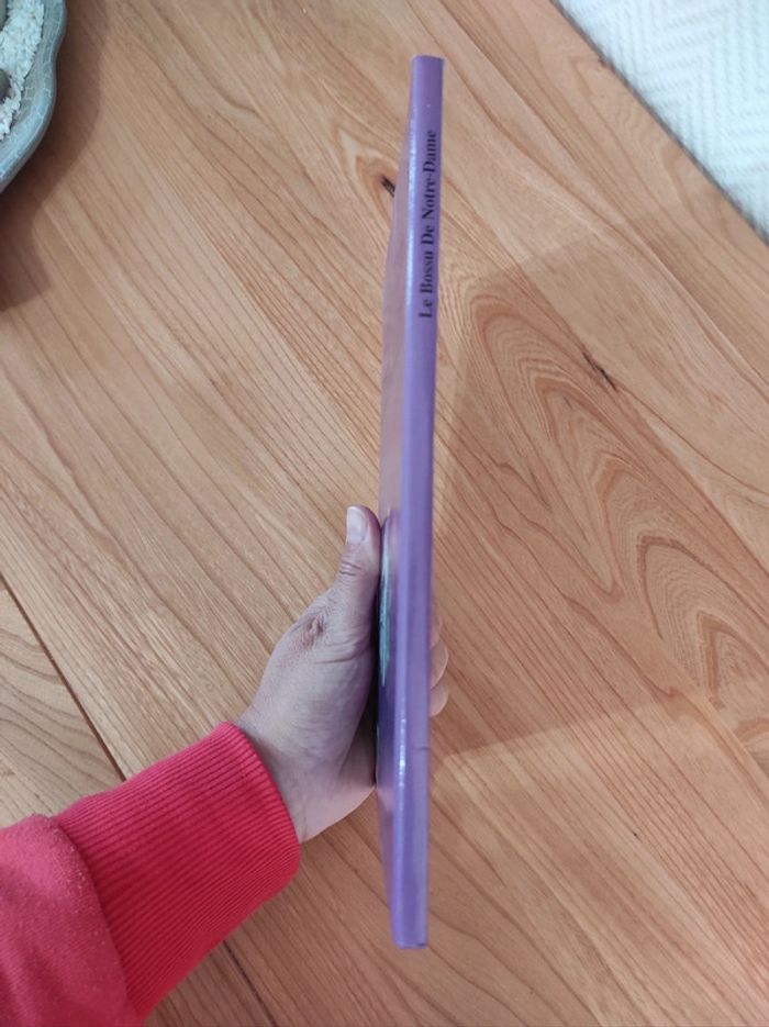 Le bossu de Notre Dame - photo numéro 6