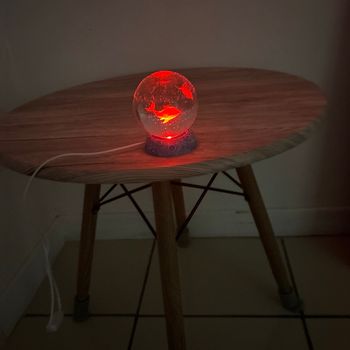 Boule De Cristal Dauphin En Verre