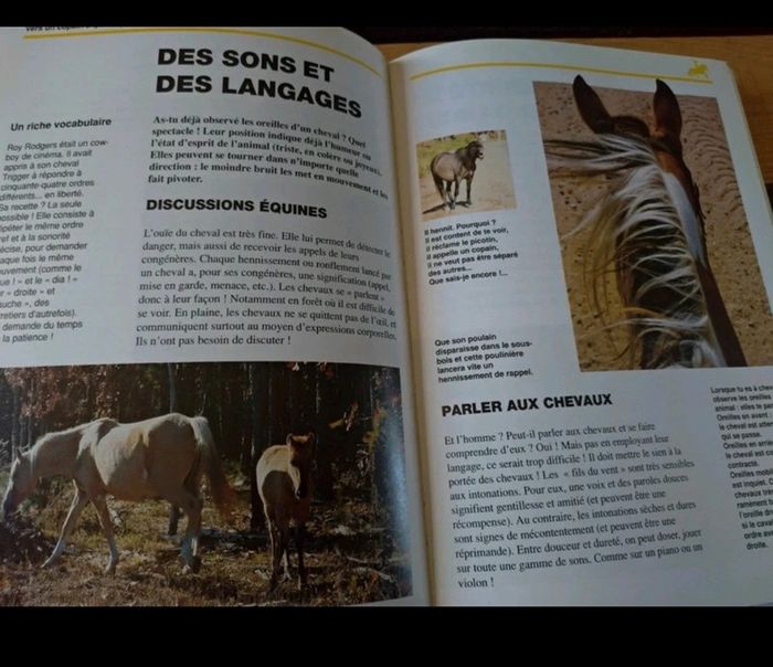 Copain des chevaux - photo numéro 3