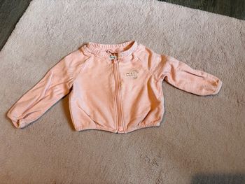 Veste ikks