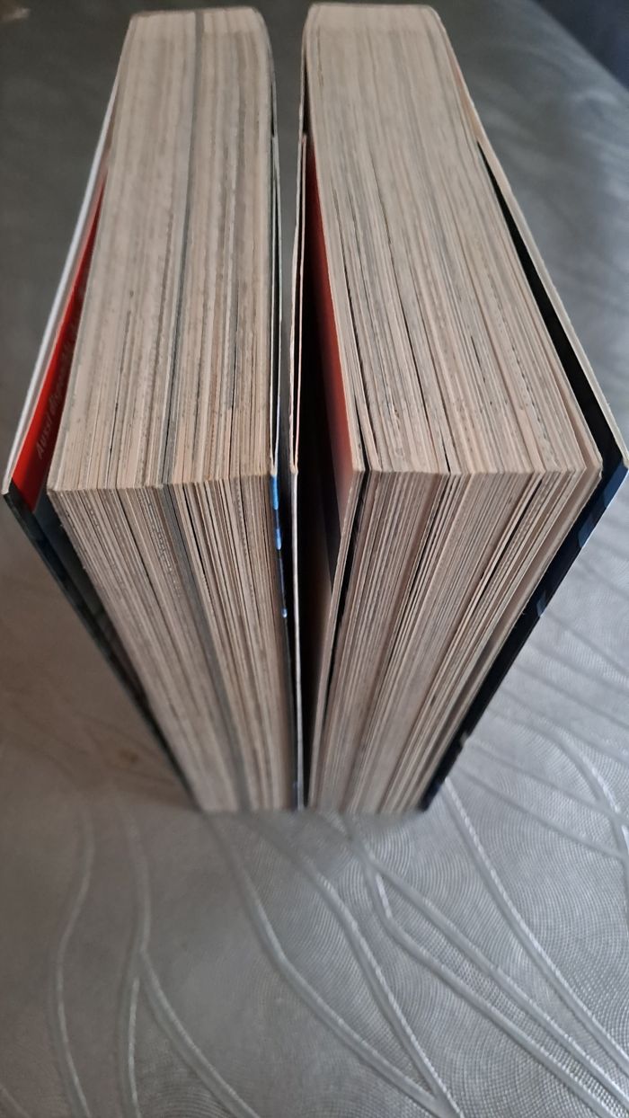 Lot de 2 mangas Pokémon Noir2 et Blanc2 - photo numéro 4