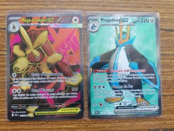 Lot 2 cartes Pokémon full art