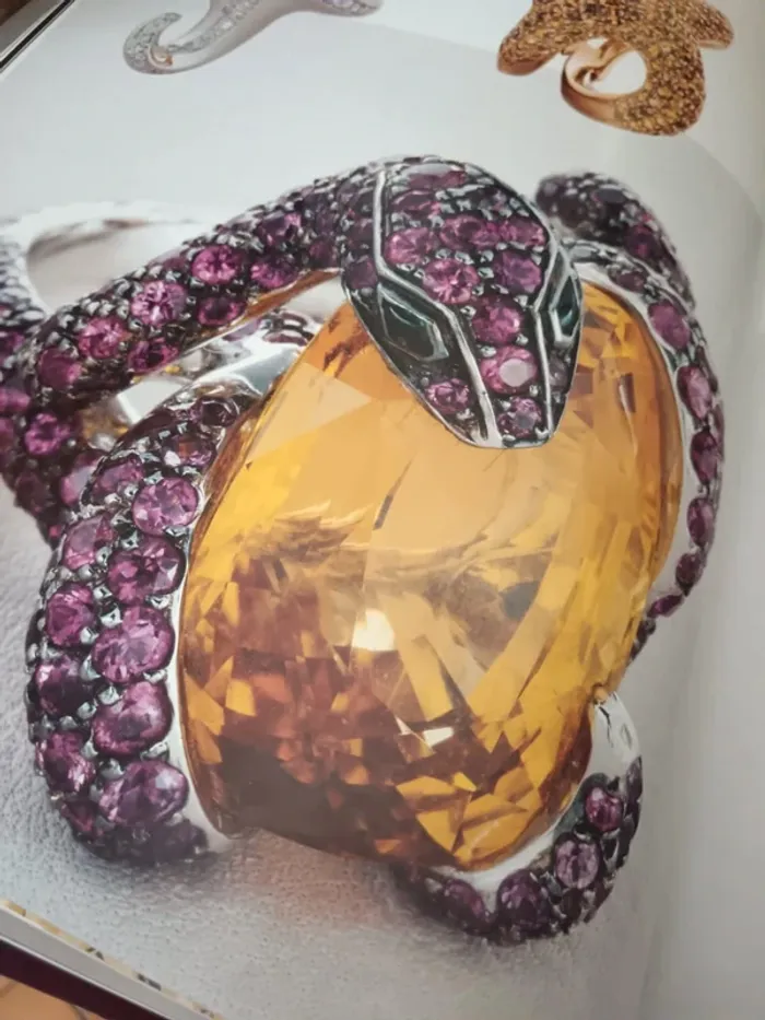 Livre Boucheron la capture de l'éclat - photo numéro 7