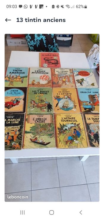 13 livres de Tintin