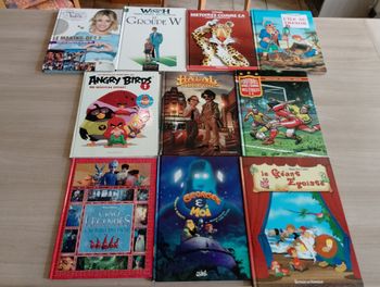  Lot de 10 BD divers (8)
