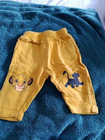 Pantalon roi lion