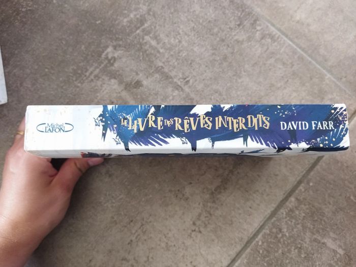 Le livre des rêves interdits de David Farr - photo numéro 3